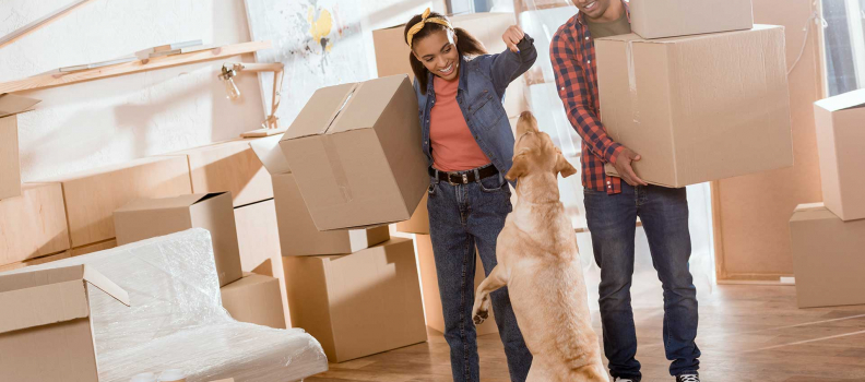 Tips and Tricks for Moving with Pets